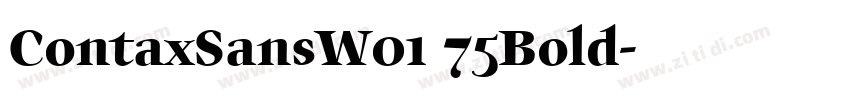 ContaxSansW01 75Bold字体转换
